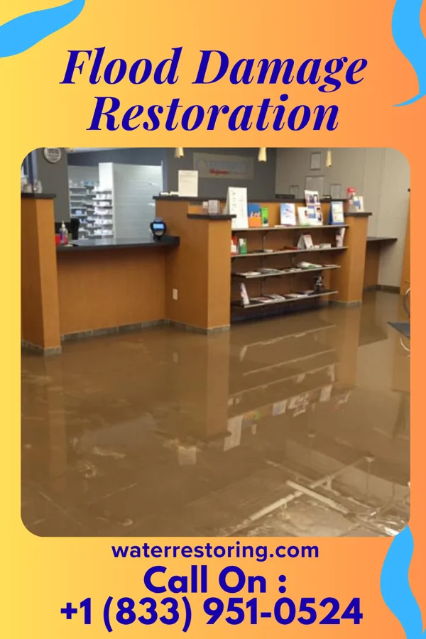 Flood Damage Restoration in Shakopee, MN
